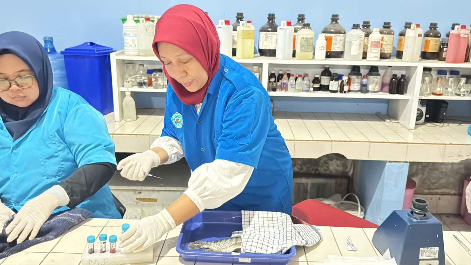 Dosen Prodi TPI berkontribusi pada Riset Konsorsium Unggulan Berdampak (RIKUB)